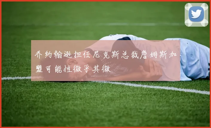 乔约翰逊担任尼克斯总裁詹姆斯加盟可能性微乎其微